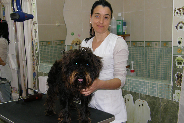 Peluqueria Canina de Monica en Torrevieja